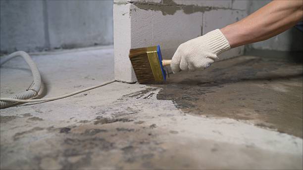24/7 Emergency Wet Basement Repair experts in Dola, OH